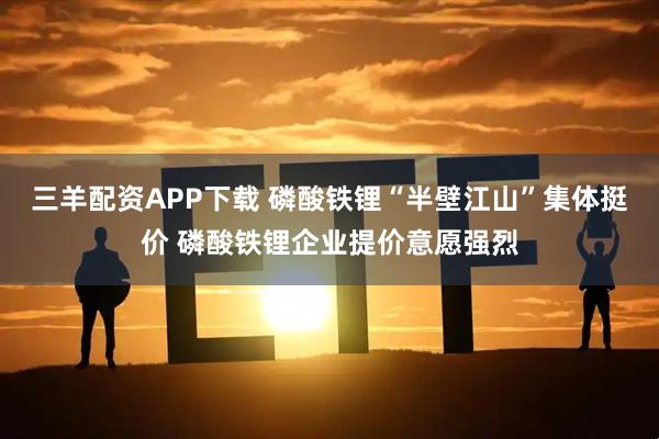 三羊配资APP下载 磷酸铁锂“半壁江山”集体挺价 磷酸铁锂企业提价意愿强烈