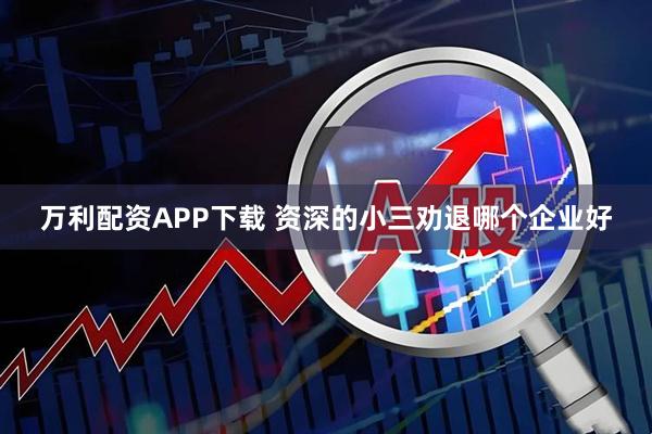 万利配资APP下载 资深的小三劝退哪个企业好