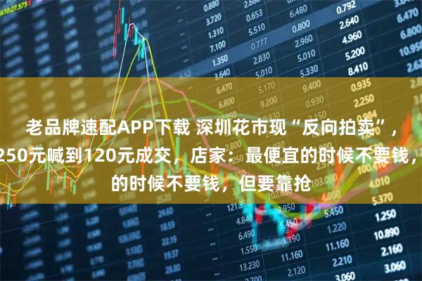 老品牌速配APP下载 深圳花市现“反向拍卖”，蝴蝶兰从250元喊到120元成交，店家：最便宜的时候不要钱，但要靠抢